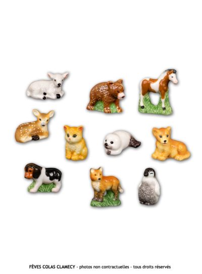 Bébés Animaux