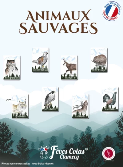 Découvrez 8 fèves animaux sauvages qui vivent parmi nous : Le Hibou grand duc, le grand tétras, le lynx boréal, le castor d’Europe, la gelinotte des bois, le faucon pèlerin, le cerf élaphe et le chamois.