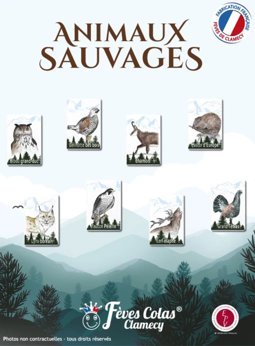 Découvrez 8 fèves animaux sauvages qui vivent parmi nous : Le Hibou grand duc, le grand tétras, le lynx boréal, le castor d’Europe, la gelinotte des bois, le faucon pèlerin, le cerf élaphe et le chamois.