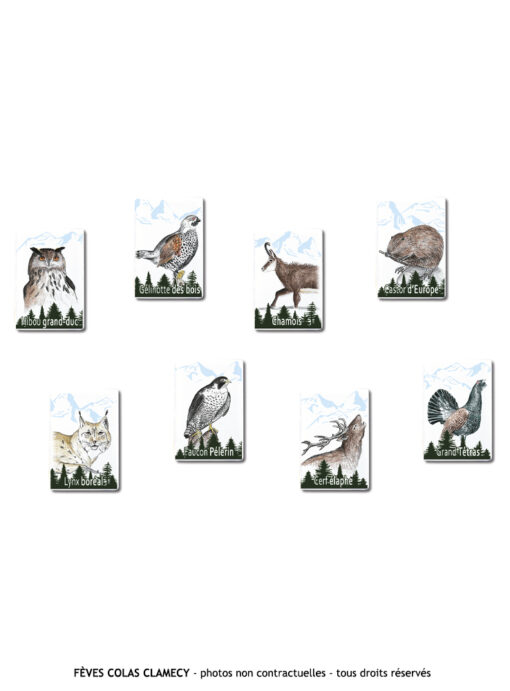 8 fèves animaux sauvages sur fond blanc.