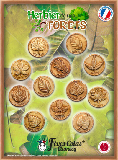 Herbier de Nos Forêts - Collection de fèves sur son affiche